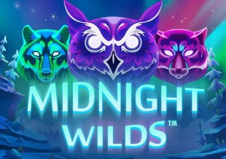 Midnight-Wilds